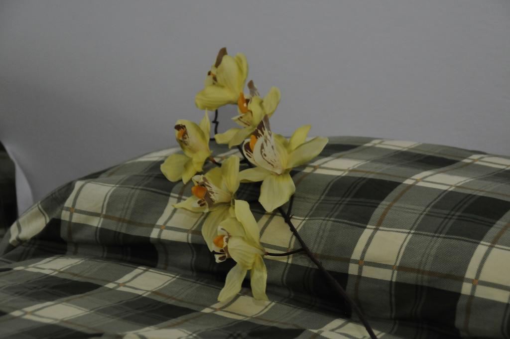 Casablanca Bed and Breakfast Trebaseleghe Buitenkant foto